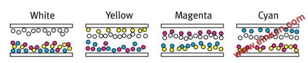 亚马逊Amazon会推出彩色的Kindle吗？彩色电子纸的原理是什么？
