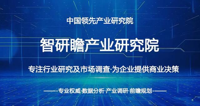 中国电子纸包装行业市场运行格局及投资策略探讨报告